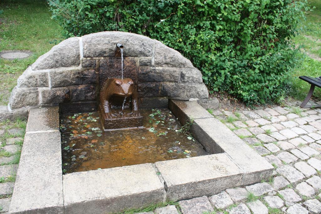 Ferienhaus Thale Braunlage Esterno foto