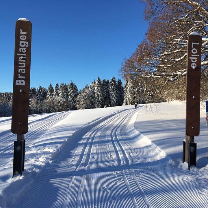 Ferienhaus Thale Braunlage Esterno foto