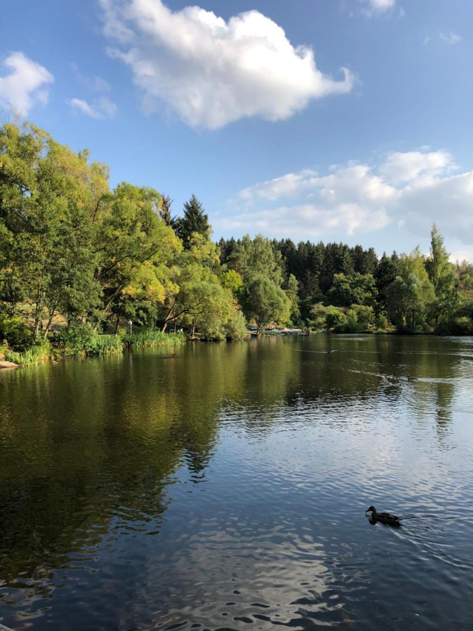 Ferienhaus Thale Braunlage Esterno foto